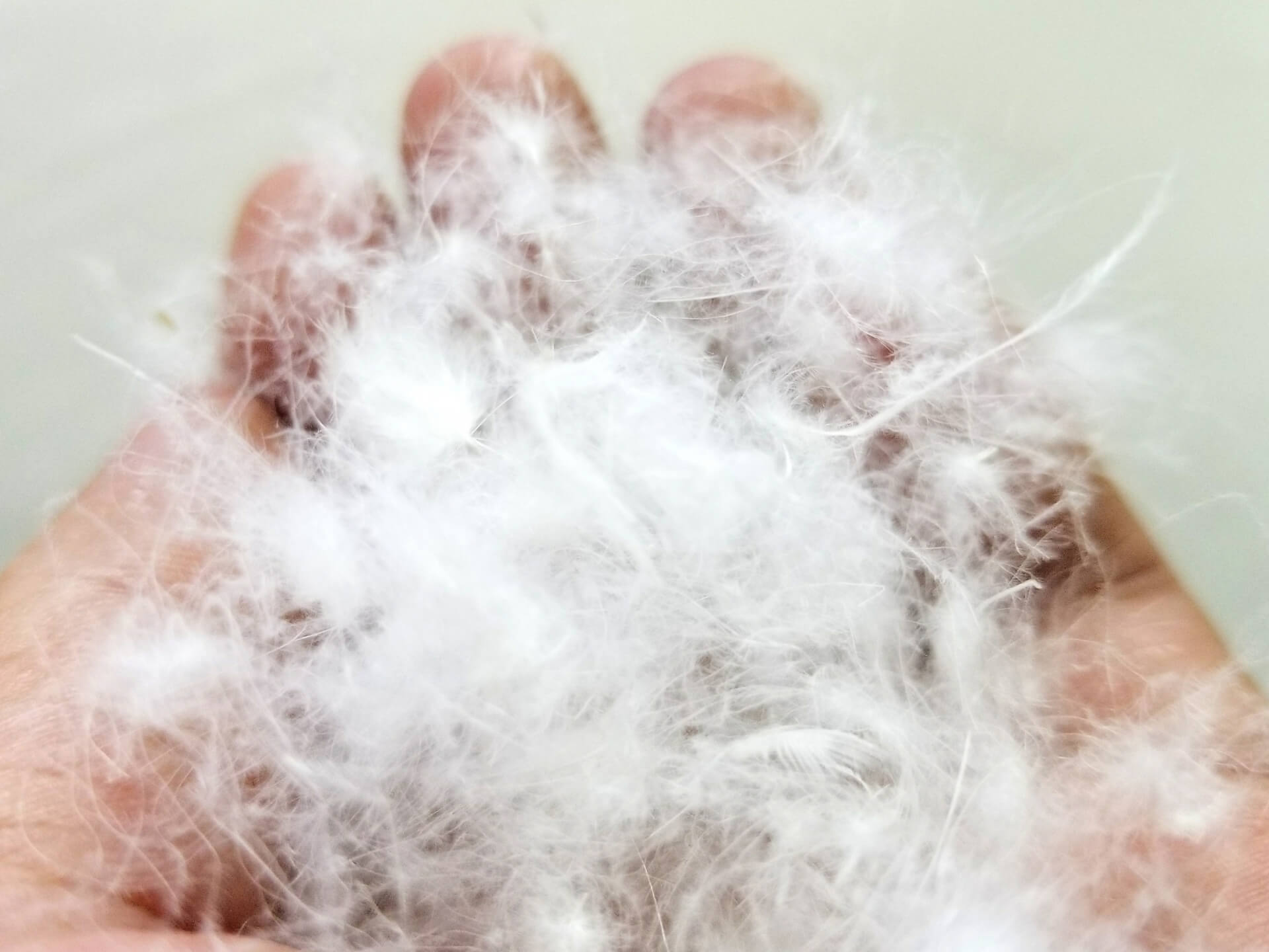 自宅でできる簡単な修理方法